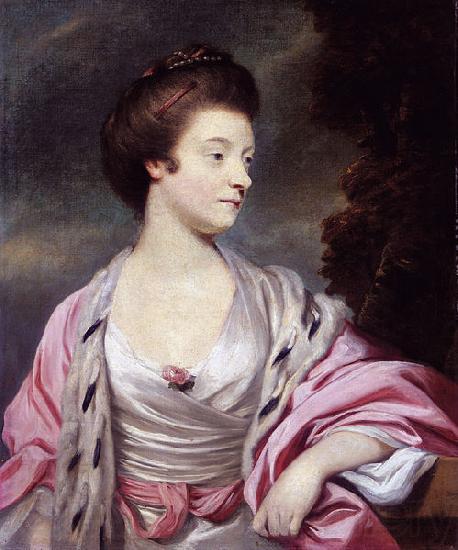 Sir Joshua Reynolds Elizabeth Norge oil painting art